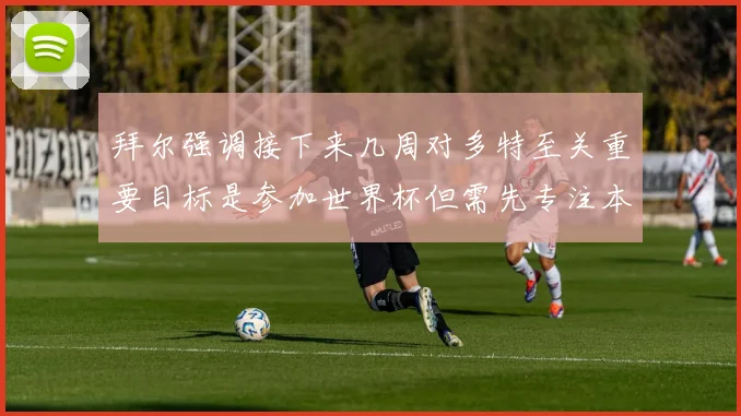拜尔强调接下来几周对多特至关重要目标是参加世界杯但需先专注本赛季表现