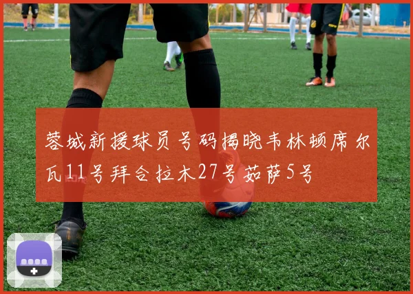 蓉城新援球员号码揭晓韦林顿席尔瓦11号拜合拉木27号茹萨5号