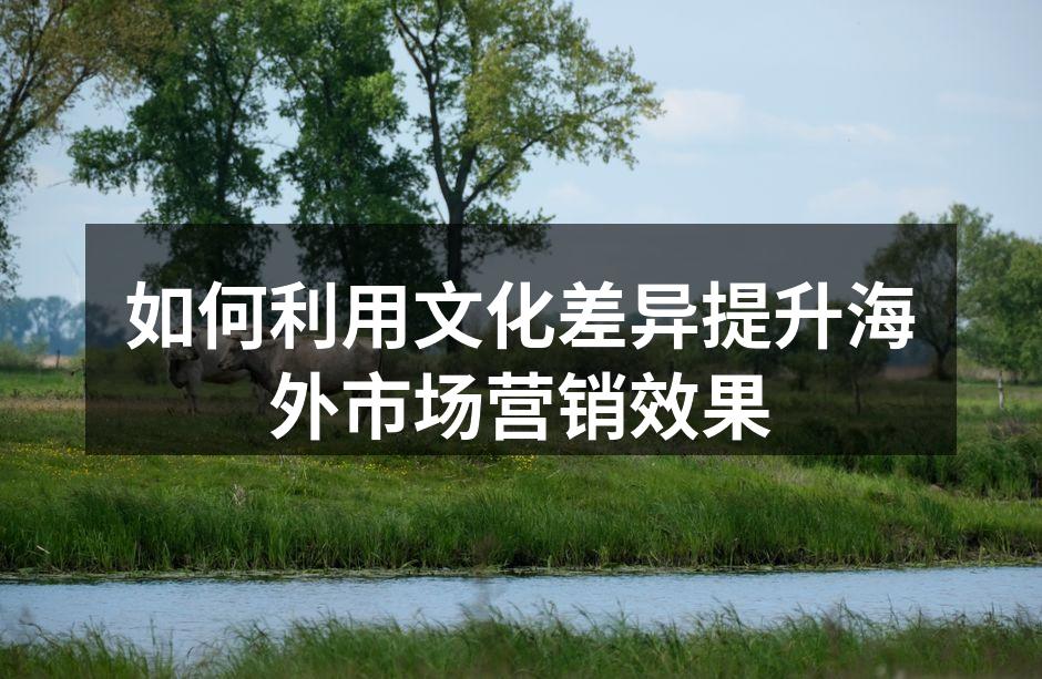 文化差异在市场营销中的重要性