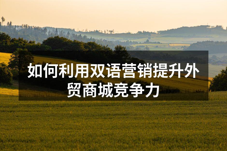 双语网站界面示例