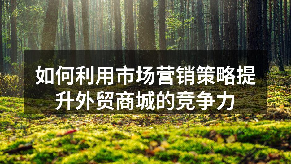 吸引客户的市场营销活动