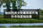 如何利用文化差异提升海外市场营销效果