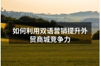 如何利用双语营销提升外贸商城竞争力